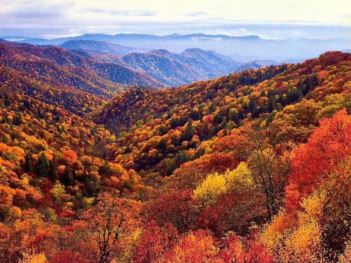 Sky High Views!!-Peak Mountaintop-Outdoor Pool-Close To Downtown-Private Balcony-Wifi-Cable Gatlinburg Exterior photo