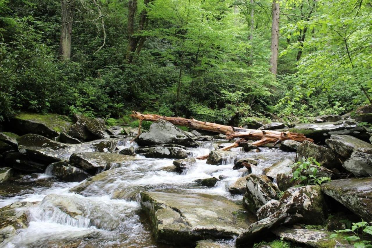 Sky High Views!!-Peak Mountaintop-Outdoor Pool-Close To Downtown-Private Balcony-Wifi-Cable Gatlinburg Exterior photo